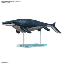 Plannosaurus Mosasaurus - Hobby Sense