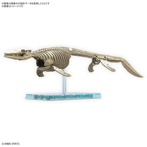 Plannosaurus Mosasaurus - Hobby Sense