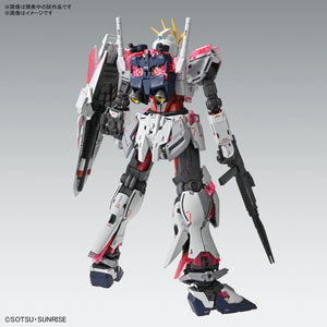 1/100 MG RX-9/C Narrative Gundam C-Packs Ver.Ka, Mobile Suit Gundam NT