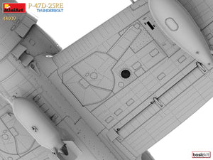 1/48 P47D-25RE Thunderbolt (Basic Kit) - Hobby Sense