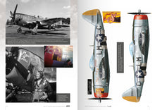 The 56th Fighter Group In World War II: 18th April 1944 To V-E Day And Beyond - Hobby Sense