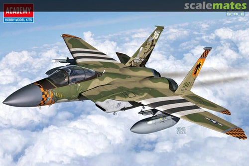 1/72 F15C 75th Anniversary MOH - Hobby Sense