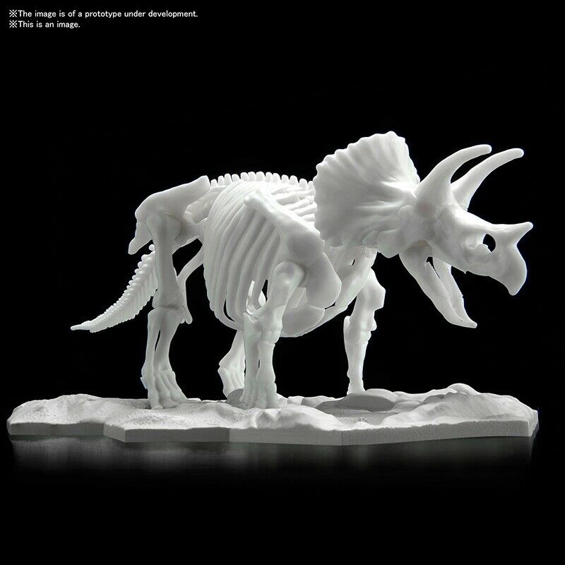 1/32 Triceratops Dinosaur Limex Skeleton - Hobby Sense