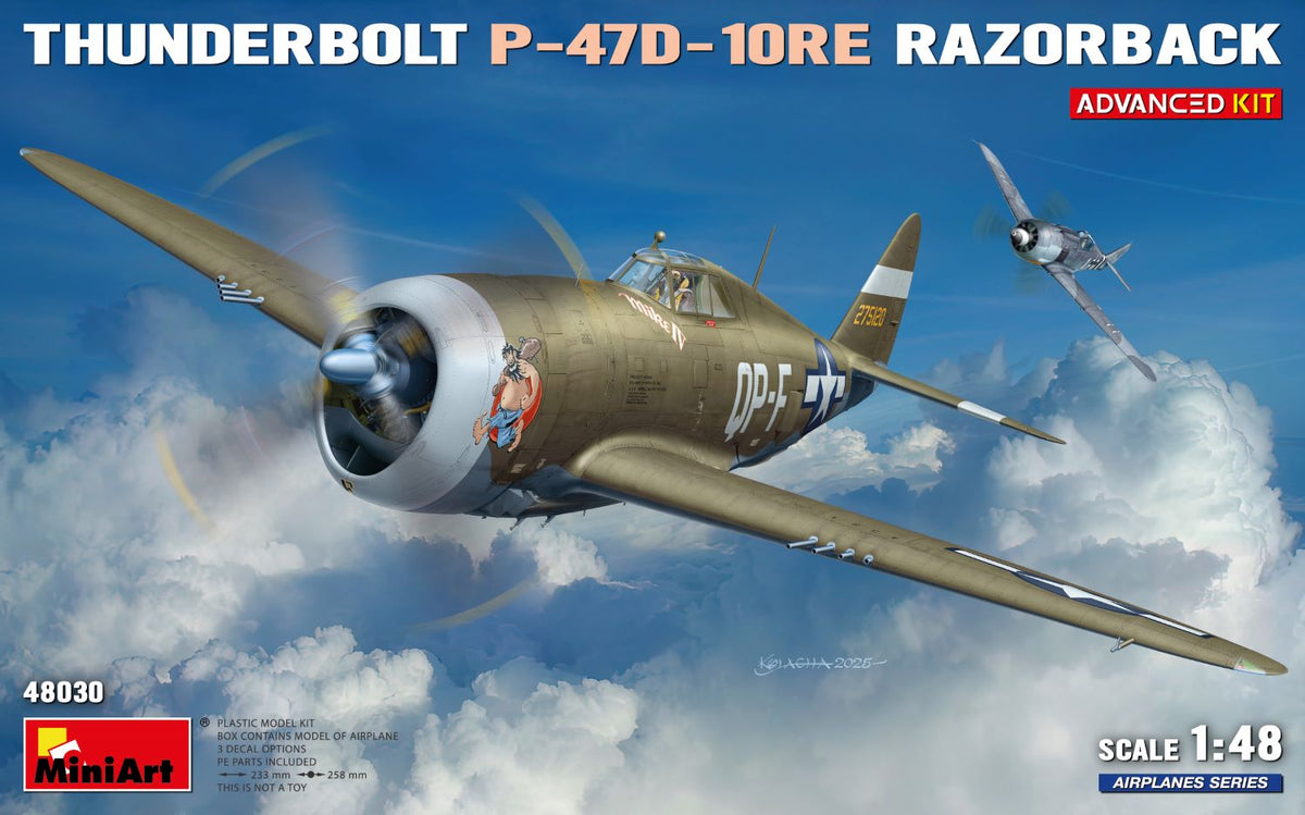 1/48 Thunderbolt P47D-10RE Razorback, Advanced Kit - Hobby Sense