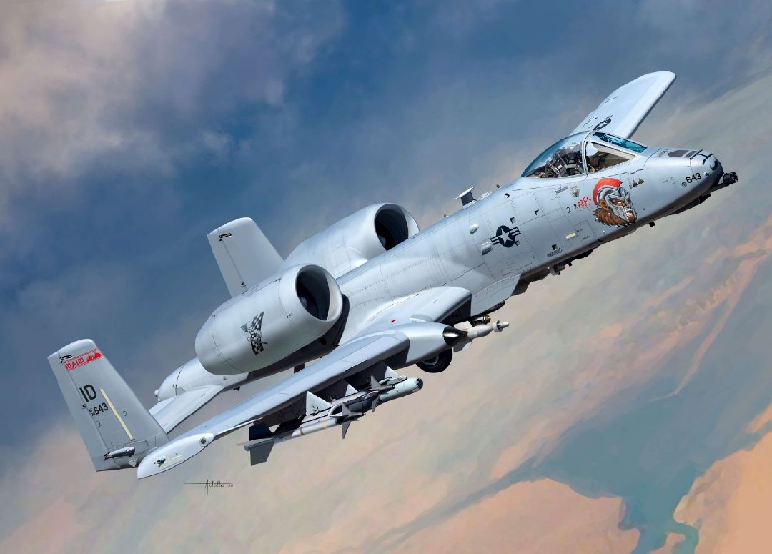 Academy 1/48 A10C Thunderbolt II Nose Art - Hobby Sense