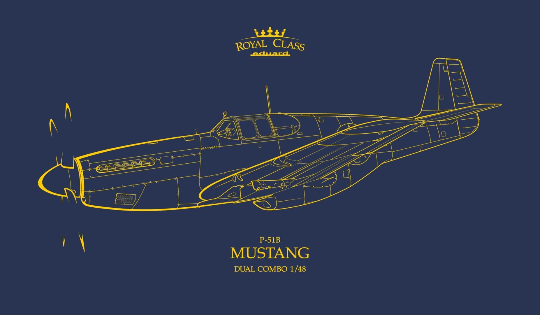 1/48 P51B Mustang, Dual Combo, Royal Class - Hobby Sense