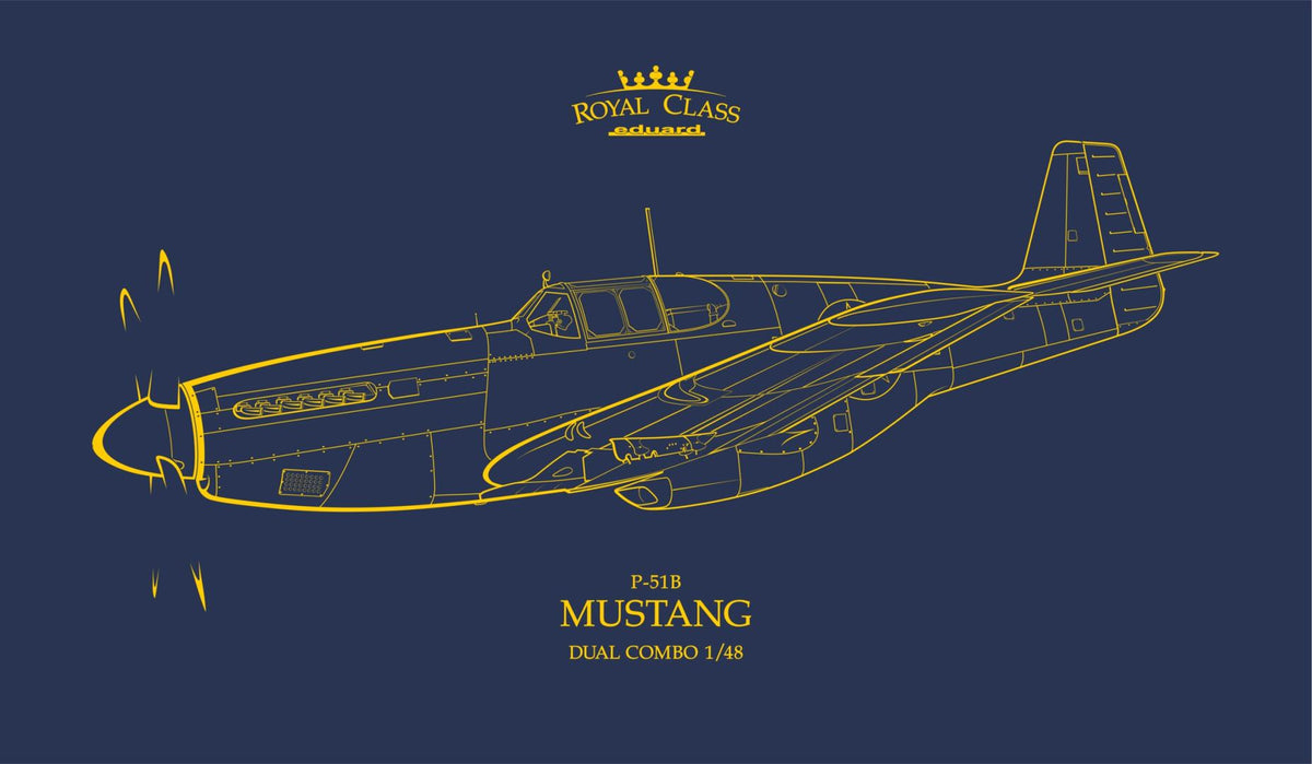 1/48 P51B Mustang, Dual Combo, Royal Class - Hobby Sense