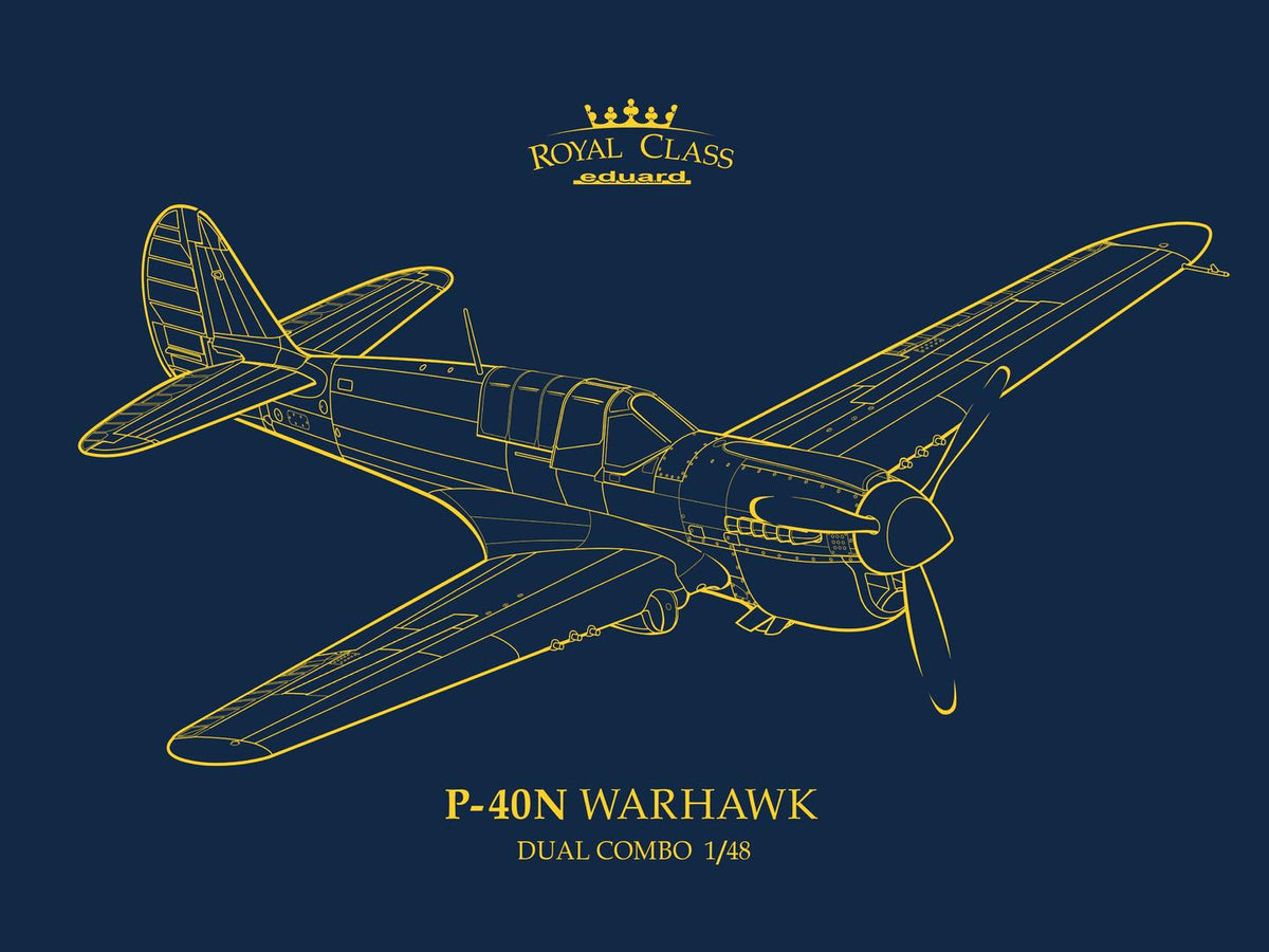 1/48 P40N Warhawk Royal Class Dual Combo Limited Edition - Hobby Sense