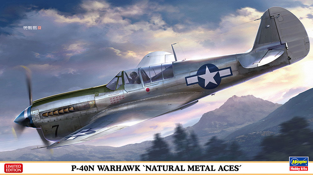 1/48 P40N Warhawk Natural Metal Aces - Hobby Sense