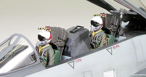 1/32 Grumman F14A Tomcat Black Knights - Hobby Sense