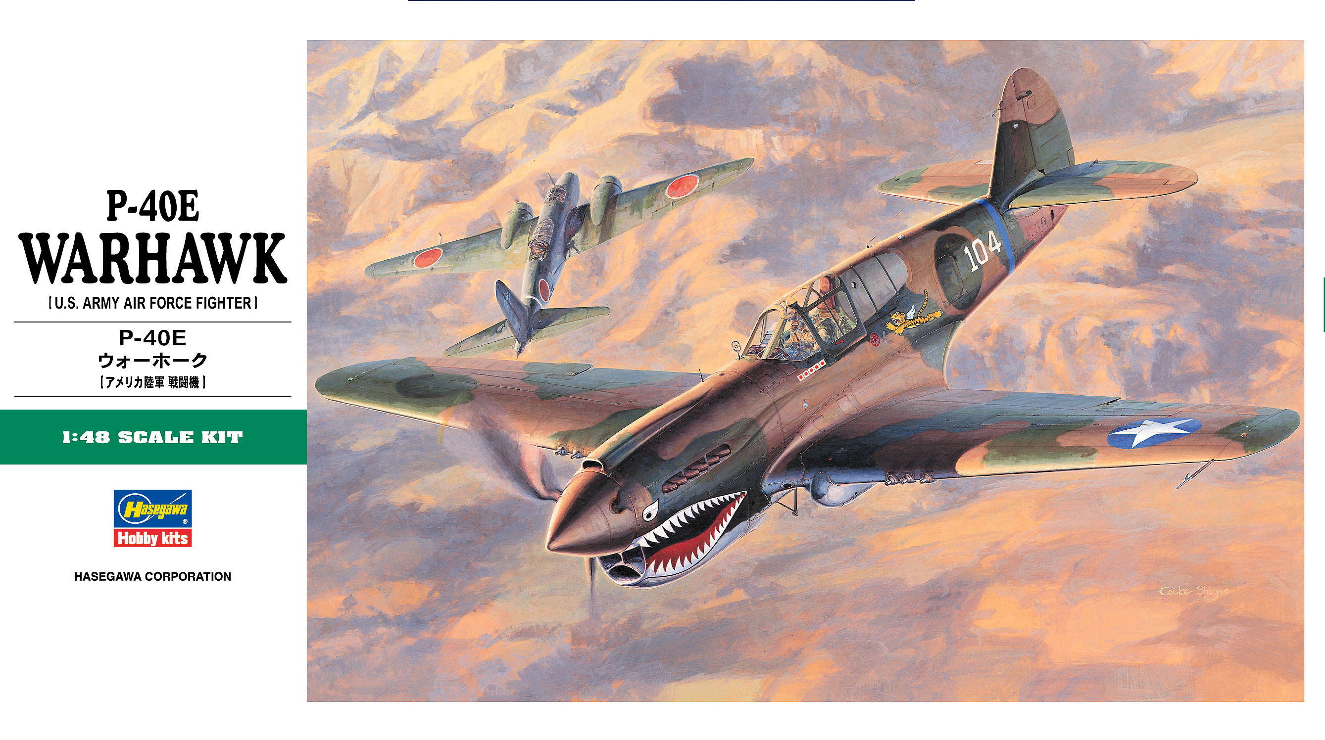 1/48 P40E Warhawk - Hobby Sense