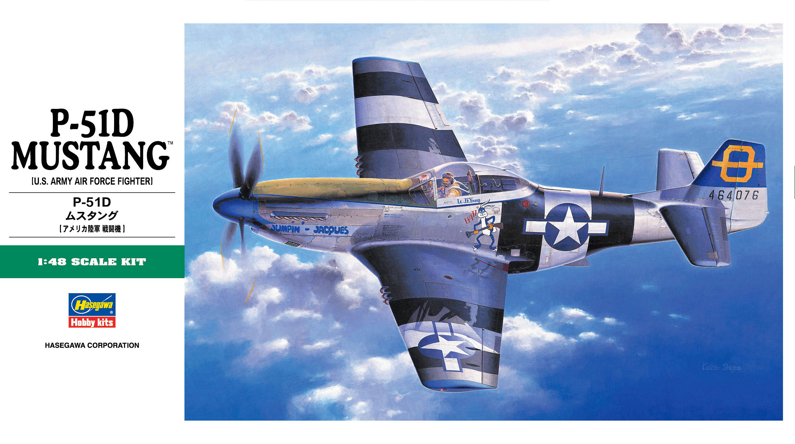 1/48 P-51D Mustang - Hobby Sense
