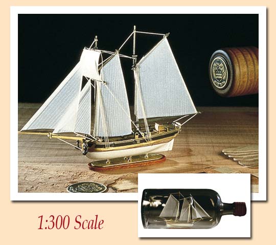 American Armed Schooner Hannah (Ship in a Bottle) - Hobby Sense