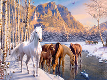 Winter Horses - Hobby Sense