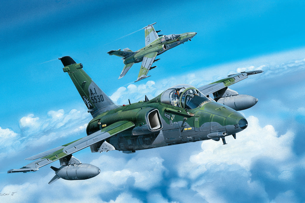 1/48 A1A Ground Attack Aircraft - Hobby Sense