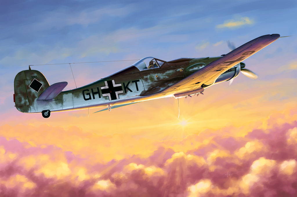 1/48 Focke Wulf FW190D-10 - Hobby Sense