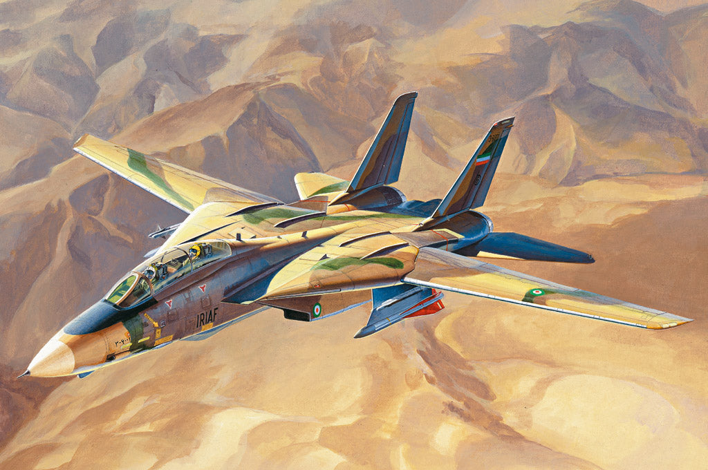 1/48 Persian Cat F14A TomCat IRIAF - Hobby Sense