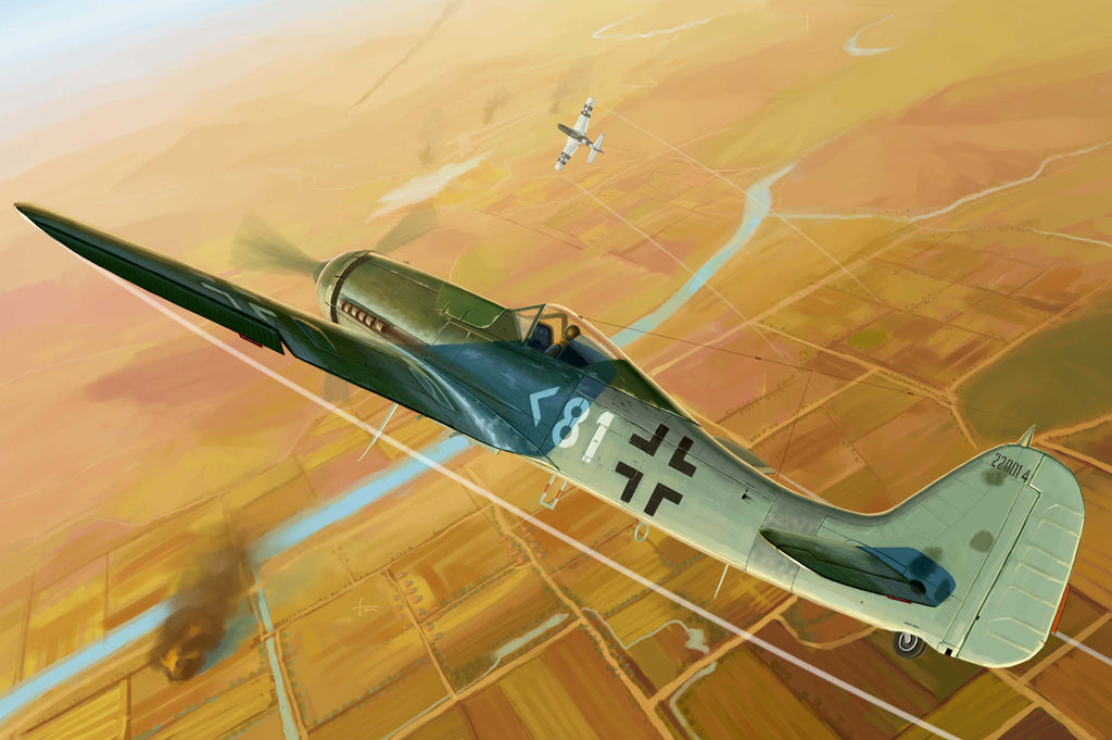 1/48 Focke Wulf FW190D-11 - Hobby Sense