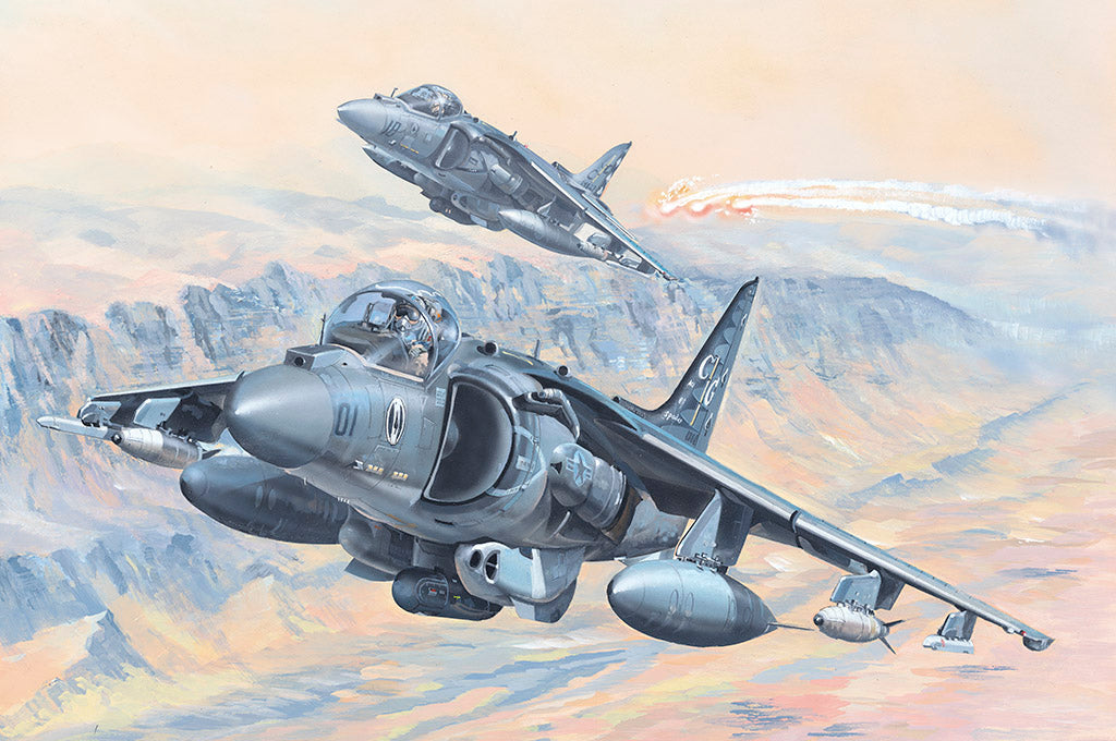1/18 AV8B Harrier II - Hobby Sense