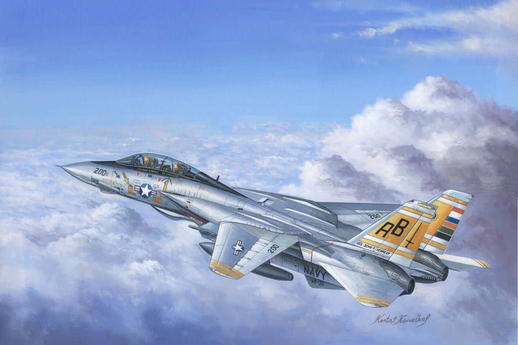 1/48 F14A Tomcat - Hobby Sense