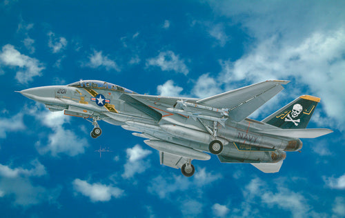 1/48 F14A Tomcat - Hobby Sense