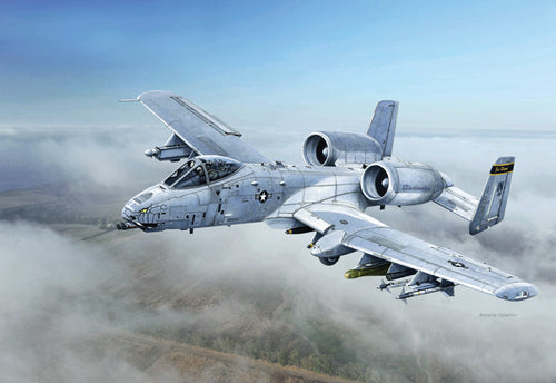 1/48 A-10 C 