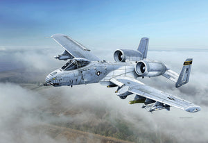 1/48 A-10 C "Blacksnakes" - Hobby Sense