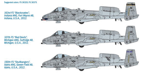 1/48 A-10 C "Blacksnakes" - Hobby Sense