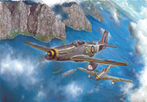 1/48 Mustang Mk.Iva - Hobby Sense