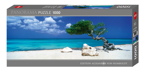 Divi Divi Tree - Hobby Sense