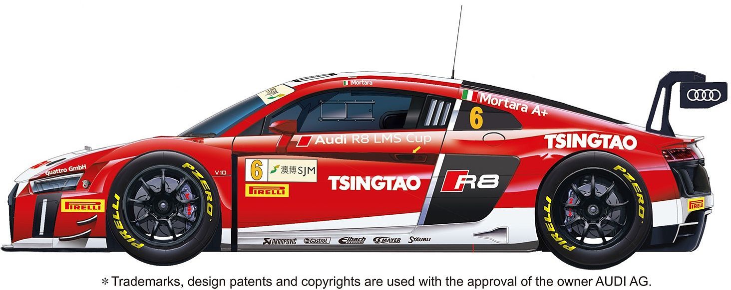 1/24 Audi R8 LMS GT3 FIA 2015 Macau World Cup - Hobby Sense