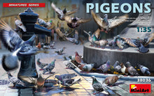 1/35 Pigeons - Hobby Sense
