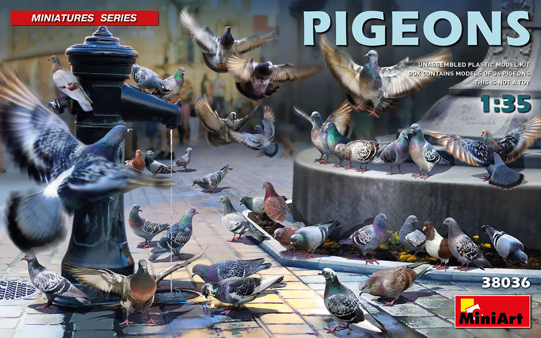 1/35 Pigeons - Hobby Sense