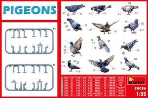 1/35 Pigeons - Hobby Sense