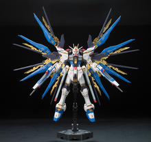 RG 1/144 ZGMF-X20A Strike Freedom Gundam Gundam SEED Destiny - Hobby Sense