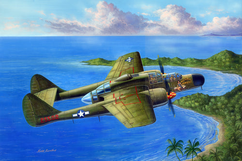 1/48 P-61A Black Widow - Hobby Sense