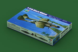 1/48 P-61A Black Widow - Hobby Sense