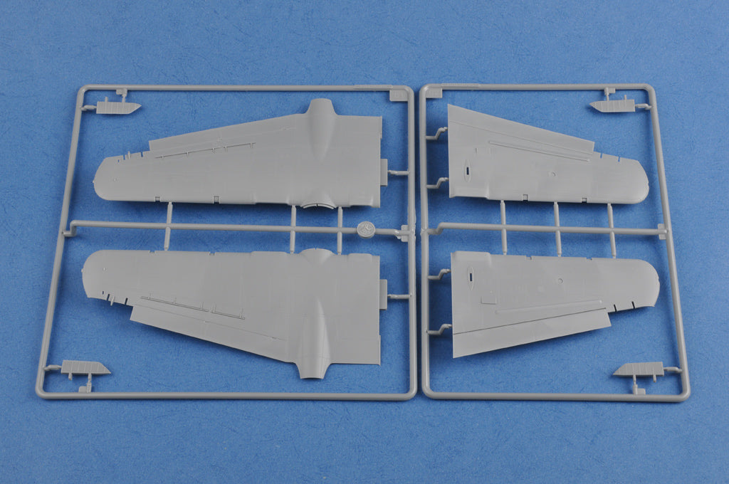 1/48 P-61A Black Widow - Hobby Sense