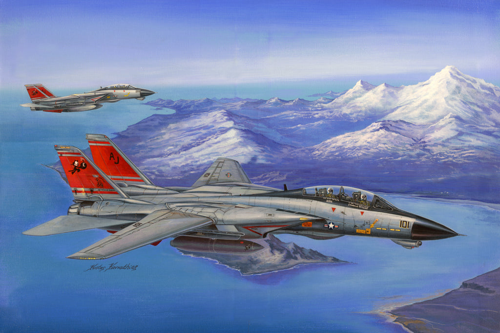 1/48 F-14D Super Tomcat - Hobby Sense