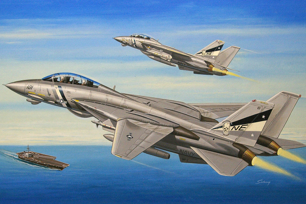 1/72 F14D Super Tomcat - Hobby Sense