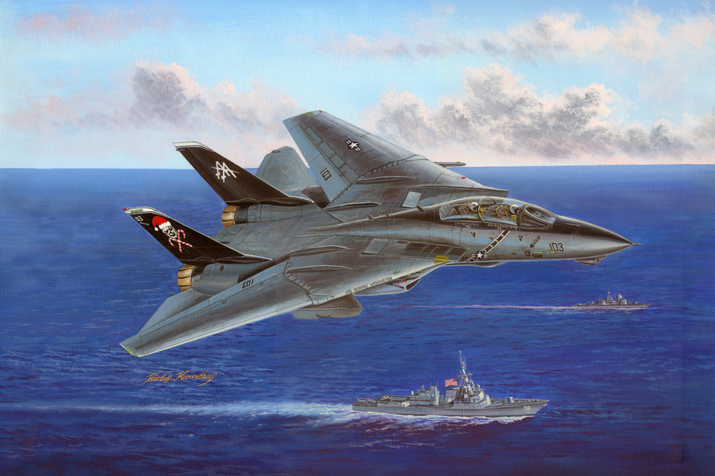 1/48 F14B Tomcat - Hobby Sense