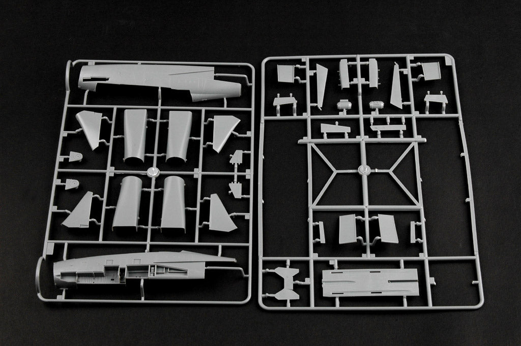 1/48 F14B Tomcat - Hobby Sense