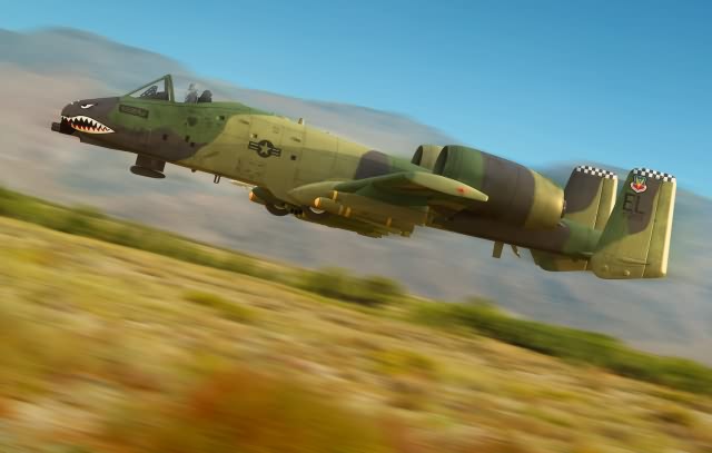 1/48 A-10A Thunderbolt II - Hobby Sense