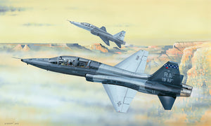 1/48 T38C Talon - Hobby Sense