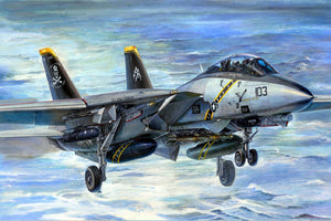 1/32 F14B Tomcat - Hobby Sense