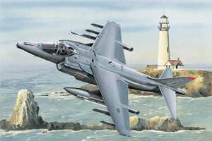 1/32 RAF Harrier GR.MK7 - Hobby Sense