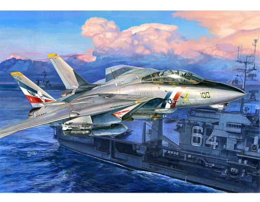 tom⭐︎ Reobrix 33032 F14 Tomcat Model Building Kit, Fighter Jet with