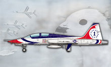 1/48 USAF T38A Talon Thunderbird Jet Trainer - Hobby Sense