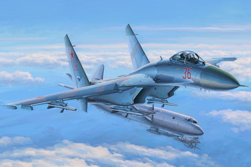 1/48 Su27 Flanker Early - Hobby Sense