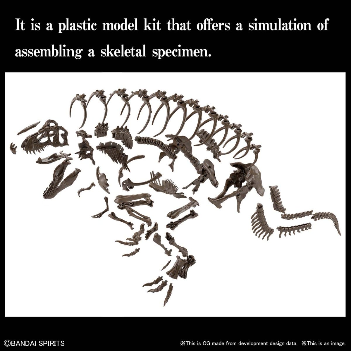 1/32 Hobby Imaginary Skeleton Tyranosaurus, Model Kit - Hobby Sense